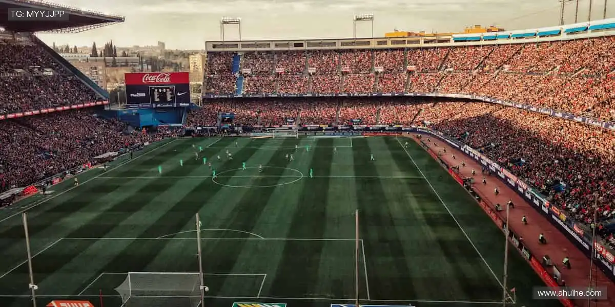 📺 实时直击，让热爱零距离！